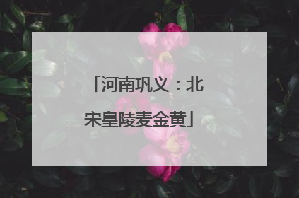 河南巩义：北宋皇陵麦金黄