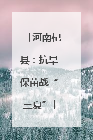 河南杞县：抗旱保苗战“三夏”