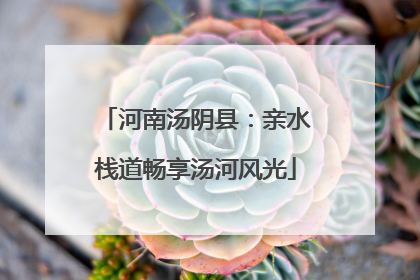 河南汤阴县：亲水栈道畅享汤河风光