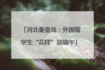 河北秦皇岛：外国留学生“花样”迎端午