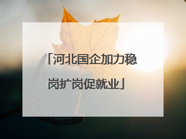 河北国企加力稳岗扩岗促就业