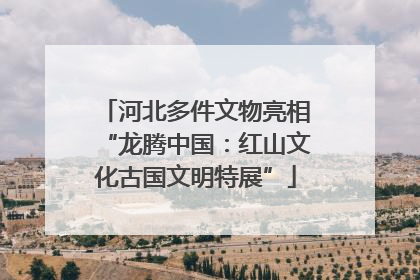 河北多件文物亮相“龙腾中国：红山文化古国文明特展”