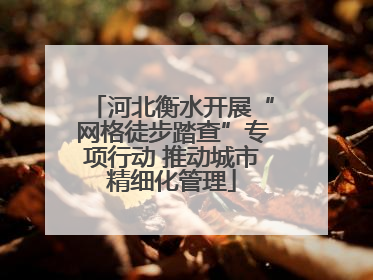 河北衡水开展“网格徒步踏查”专项行动 推动城市精细化管理