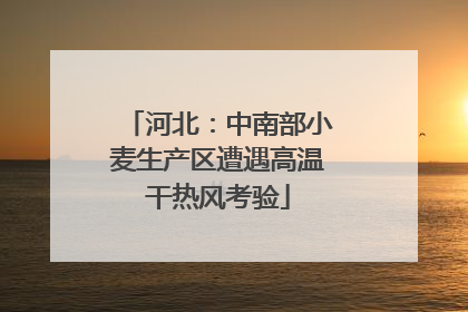 河北：中南部小麦生产区遭遇高温干热风考验