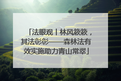 法眼观丨林风簌簌，其法彰彰——森林法有效实施助力青山常翠