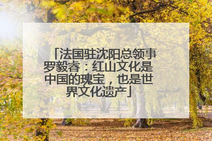 法国驻沈阳总领事罗毅睿：红山文化是中国的瑰宝，也是世界文化遗产