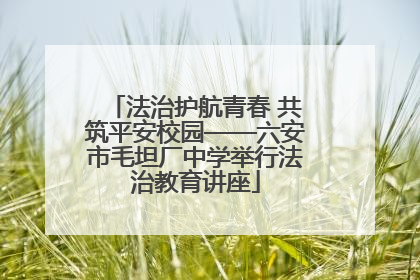 法治护航青春 共筑平安校园——六安市毛坦厂中学举行法治教育讲座