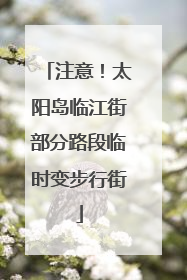注意！太阳岛临江街部分路段临时变步行街