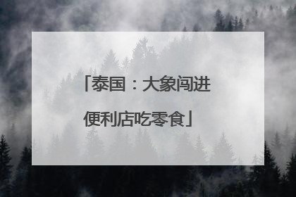 泰国：大象闯进便利店吃零食