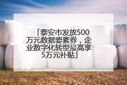 泰安市发放500万元数据要素券，企业数字化转型最高享5万元补贴