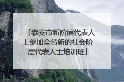 泰安市新阶层代表人士参加全省新的社会阶层代表人士培训班