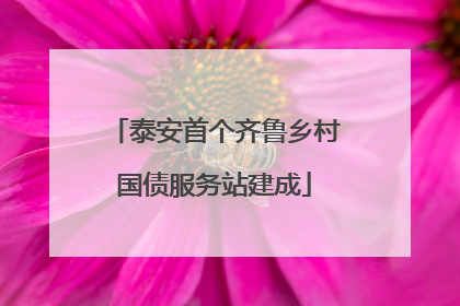 泰安首个齐鲁乡村国债服务站建成