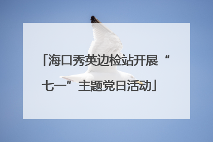 海口秀英边检站开展“七一”主题党日活动