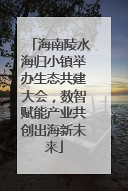 海南陵水海归小镇举办生态共建大会，数智赋能产业共创出海新未来