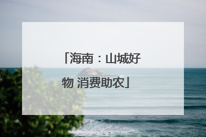 海南：山城好物 消费助农