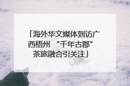 海外华文媒体到访广西梧州 “千年古郡”茶旅融合引关注