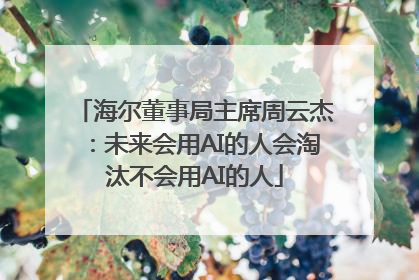 海尔董事局主席周云杰：未来会用AI的人会淘汰不会用AI的人