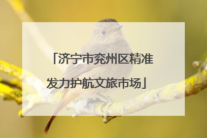 济宁市兖州区精准发力护航文旅市场
