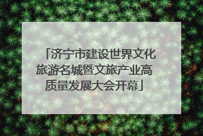 济宁市建设世界文化旅游名城暨文旅产业高质量发展大会开幕