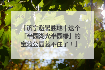 济宁避暑胜地｜这个「半园湖光半园绿」的宝藏公园藏不住了！