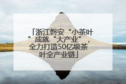 浙江磐安“小茶叶”成就“大产业”，全力打造50亿级茶叶全产业链