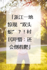 浙江一地惊现“双头蛇”？！村民吓懵：还会倒着爬