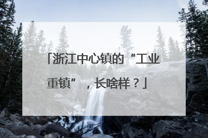 浙江中心镇的“工业重镇”，长啥样？