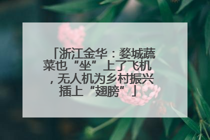 浙江金华：婺城蔬菜也“坐”上了飞机，无人机为乡村振兴插上“翅膀”