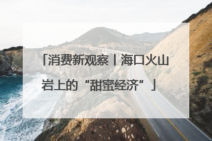 消费新观察丨海口火山岩上的“甜蜜经济”