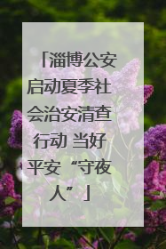 淄博公安启动夏季社会治安清查行动 当好平安“守夜人”