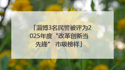 淄博3名民警被评为2025年度“改革创新当先锋” 市级榜样