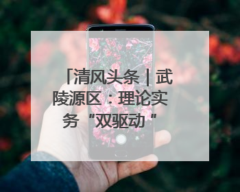 清风头条｜武陵源区：理论实务“双驱动 ” 充电赋能“增才干”