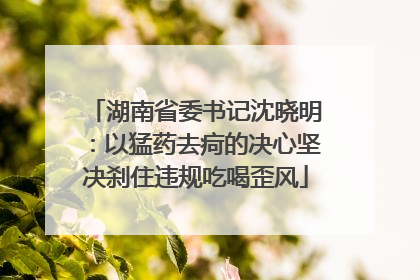 湖南省委书记沈晓明：以猛药去疴的决心坚决刹住违规吃喝歪风