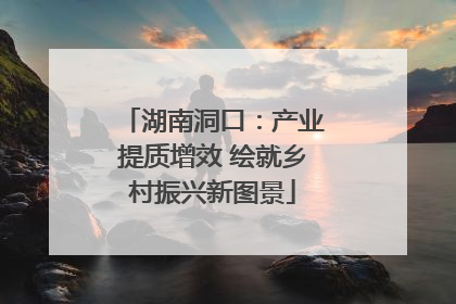 湖南洞口：产业提质增效 绘就乡村振兴新图景