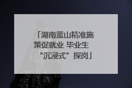 湖南蓝山精准施策促就业 毕业生“沉浸式”探岗