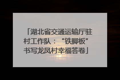 湖北省交通运输厅驻村工作队：“铁脚板”书写龙凤村幸福答卷