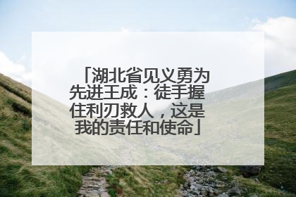 湖北省见义勇为先进王成：徒手握住利刃救人，这是我的责任和使命