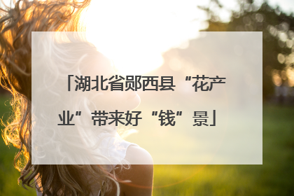 湖北省郧西县“花产业”带来好“钱”景