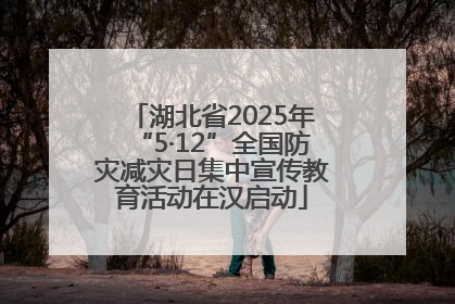 湖北省2025年“5·12”全国防灾减灾日集中宣传教育活动在汉启动