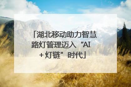 湖北移动助力智慧路灯管理迈入“AI＋灯链”时代