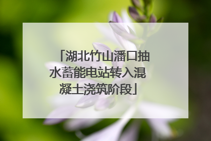 湖北竹山潘口抽水蓄能电站转入混凝土浇筑阶段