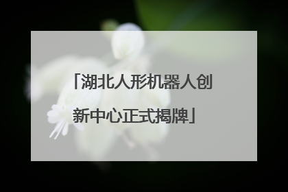 湖北人形机器人创新中心正式揭牌