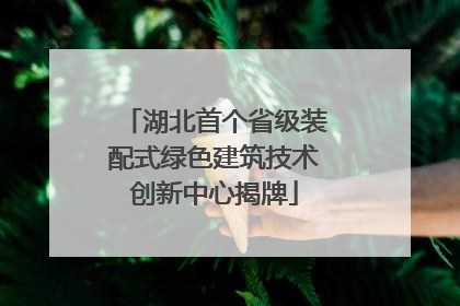 湖北首个省级装配式绿色建筑技术创新中心揭牌