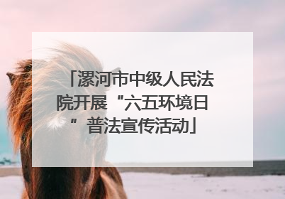 漯河市中级人民法院开展“六五环境日”普法宣传活动