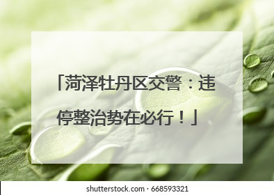 菏泽牡丹区交警：违停整治势在必行！