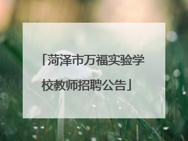 菏泽市万福实验学校教师招聘公告