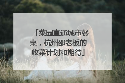 菜园直通城市餐桌，杭州邵老板的收菜计划和期待
