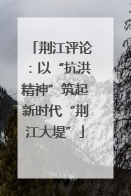 荆江评论：以“抗洪精神”筑起新时代“荆江大堤”