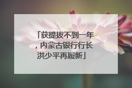 获提拔不到一年，内蒙古银行行长洪少平再履新