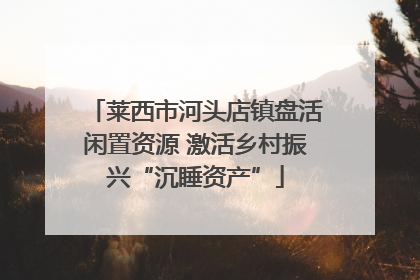 莱西市河头店镇盘活闲置资源 激活乡村振兴“沉睡资产”